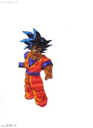 Goku san