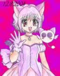 tokyo mew mew