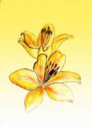 Geschenk für mutti ^^