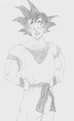 Son Goku