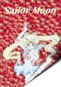 Sailor Moon mit Hintergrund