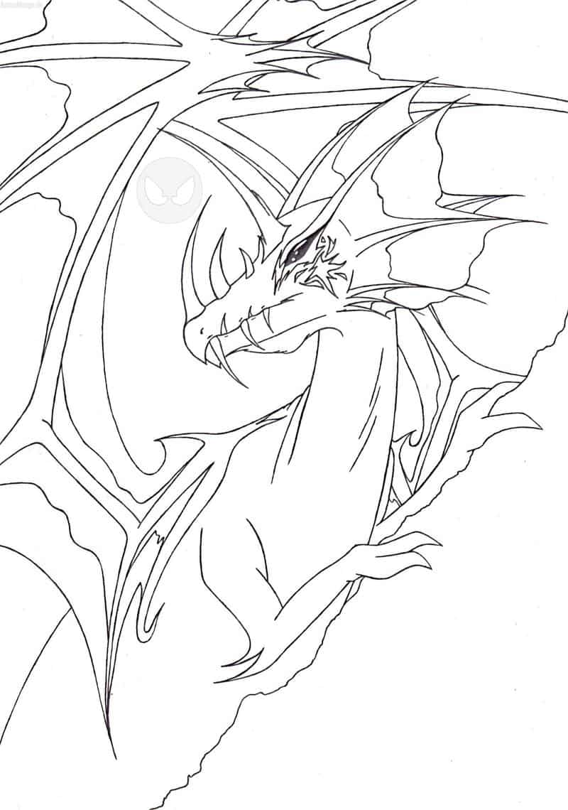 drachen outline