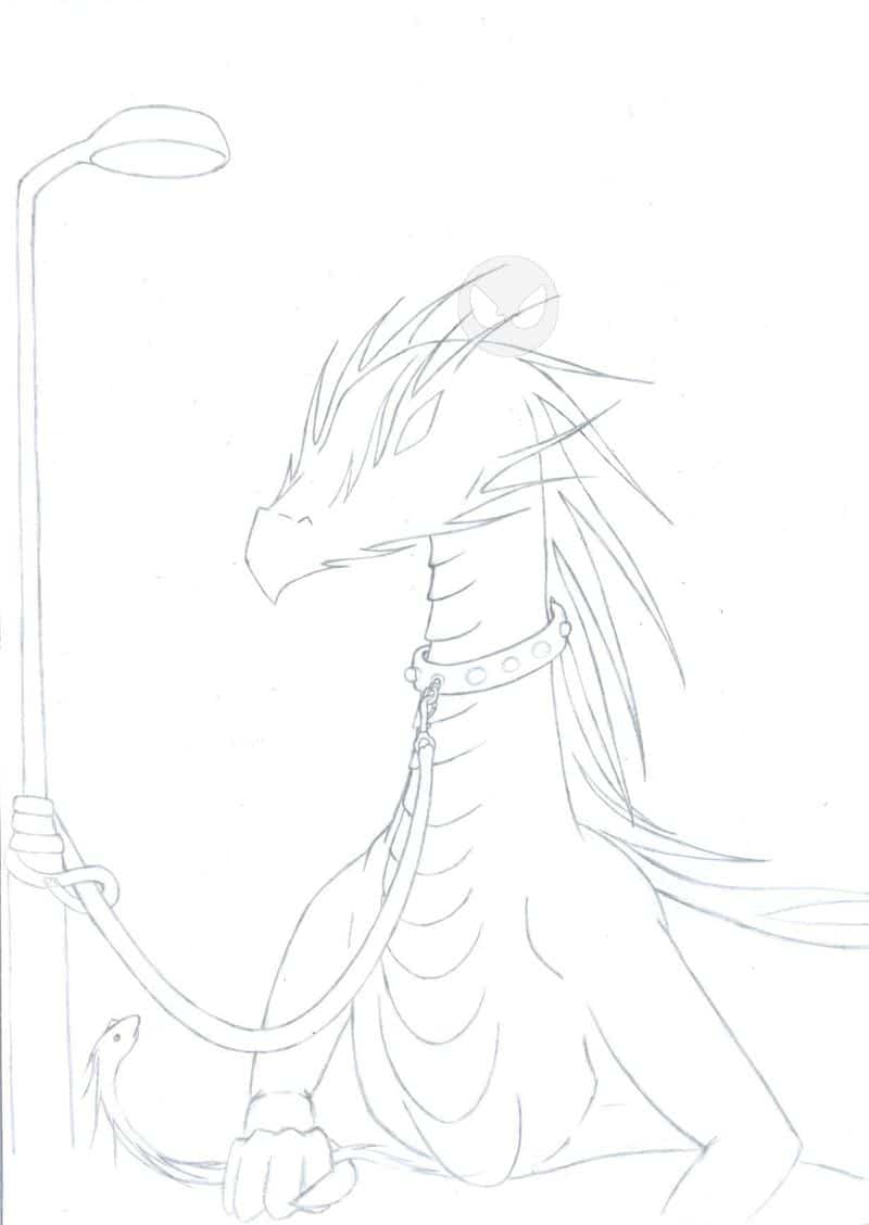 zahmer hausdrache outlines