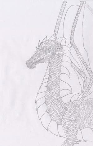 drache