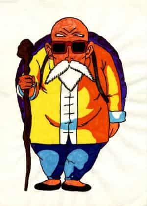 herr der schildkröten