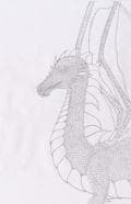 drache