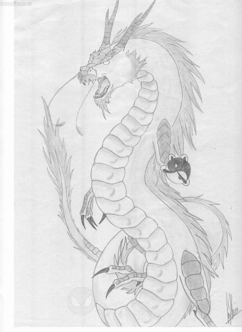 Chinesischer Drache