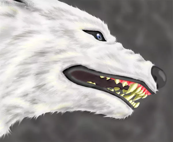 Wolf überarbeitet^^