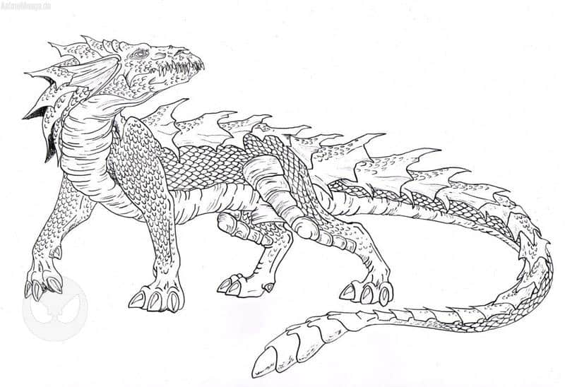 Drachen Outlines
