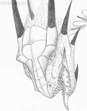 Drachenkopf