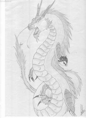 Chinesischer Drache