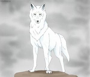 wolf's rain