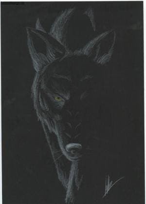 Black wolf^^