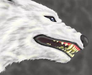 Wolf überarbeitet^^