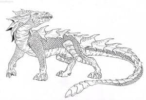 Drachen Outlines