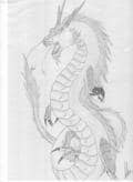 Chinesischer Drache