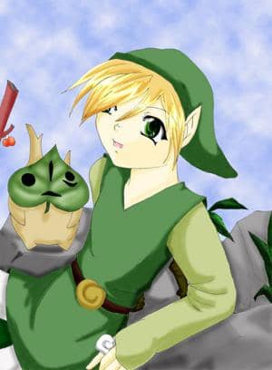 The Legend of Zelda...WW Stil