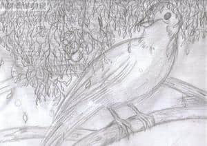 Kommt ein Vöglein geflogen..Lalala