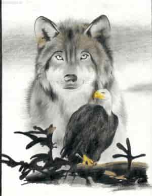 Cold Winter ~Wolf & Eagle~