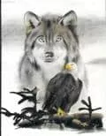 Cold Winter ~Wolf & Eagle~
