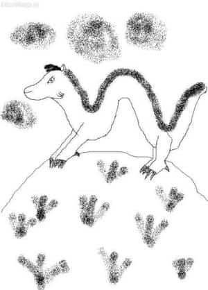 The black&white wourld