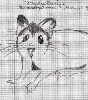 Dickschwänzige Beutelspitzmaus