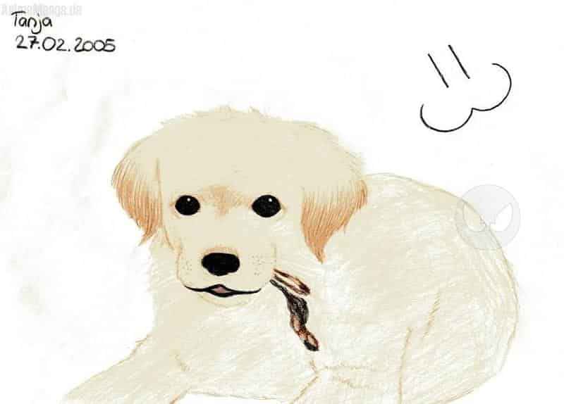 wuschelwelpe *knüfflz*