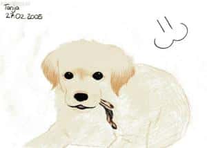 wuschelwelpe *knüfflz*