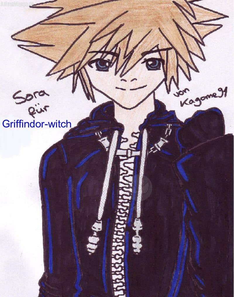 Sora für Griffindor-witch