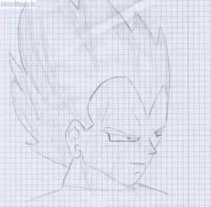 Vegeta_2