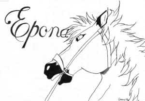 ÖÖhhhh...schon wieder Epona?