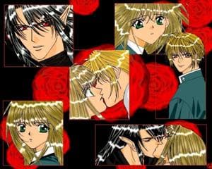 Zwiespalt der Gefühle