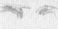 gods and adams hands