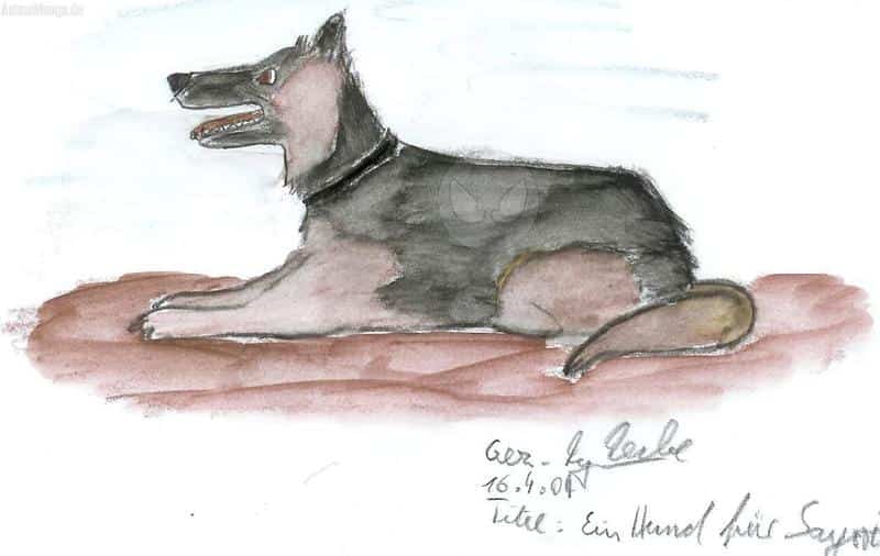 Ein Hund für Sayori