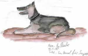 Ein Hund für Sayori