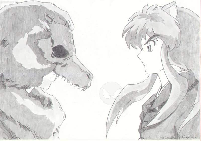Inu vs Naraku