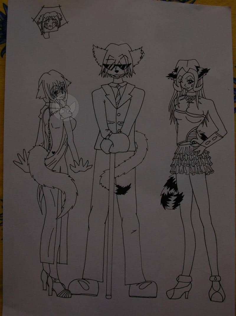 V.I.C (very importans cats!!! X3)