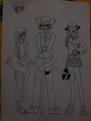 V.I.C (very importans cats!!! X3)