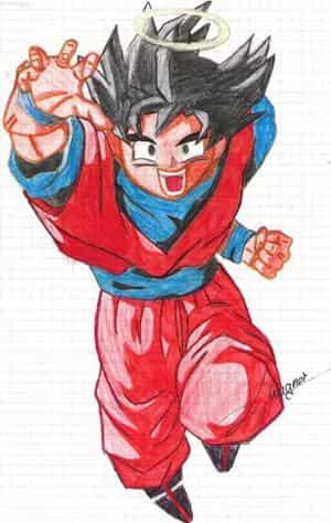 Son-goku