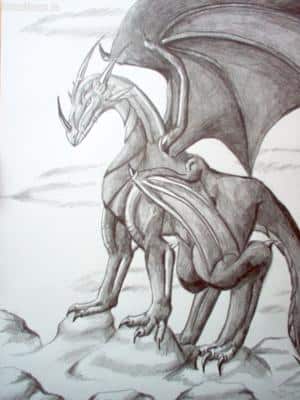 Drache