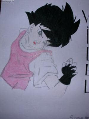 Videl