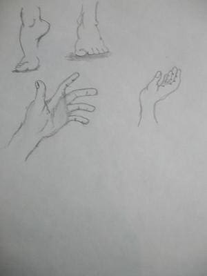 ~*~hende und fuse ~*