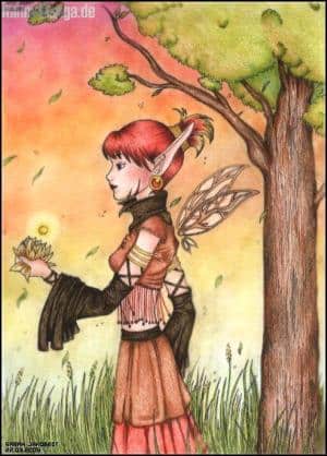 Soul in A Flower [Collo]