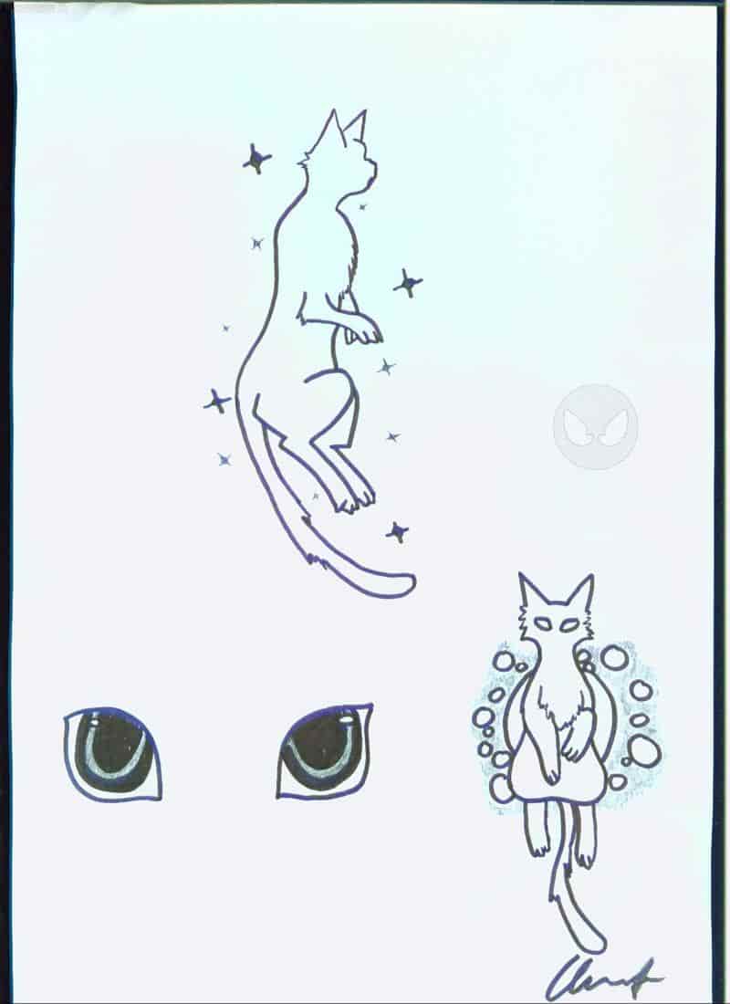 die iriomote wildkatze