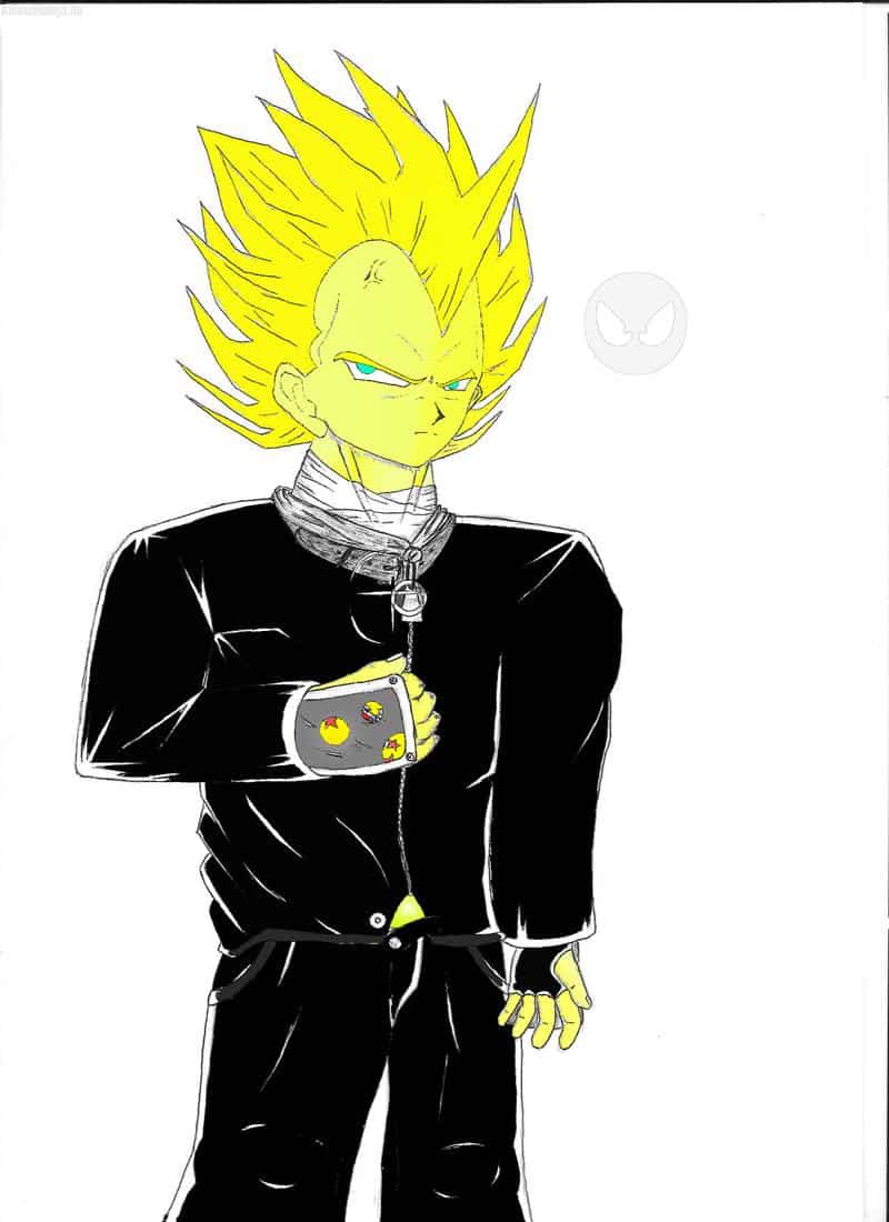 Vegeta color