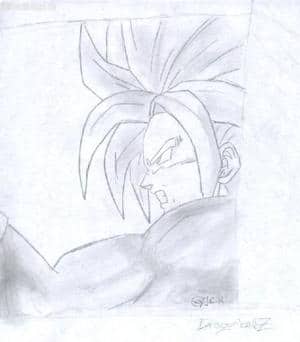 Trunks