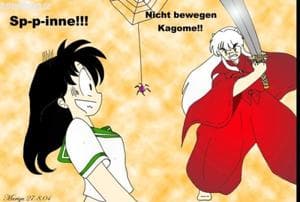 IIIIIIIII SPINNE!!!!!