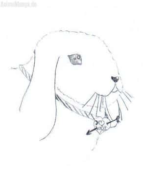 F&uuml;r meine liebe Ranmalove