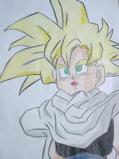 gohan