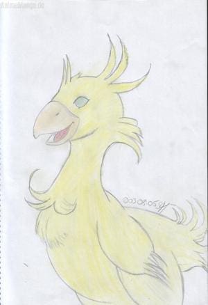 Chocobo